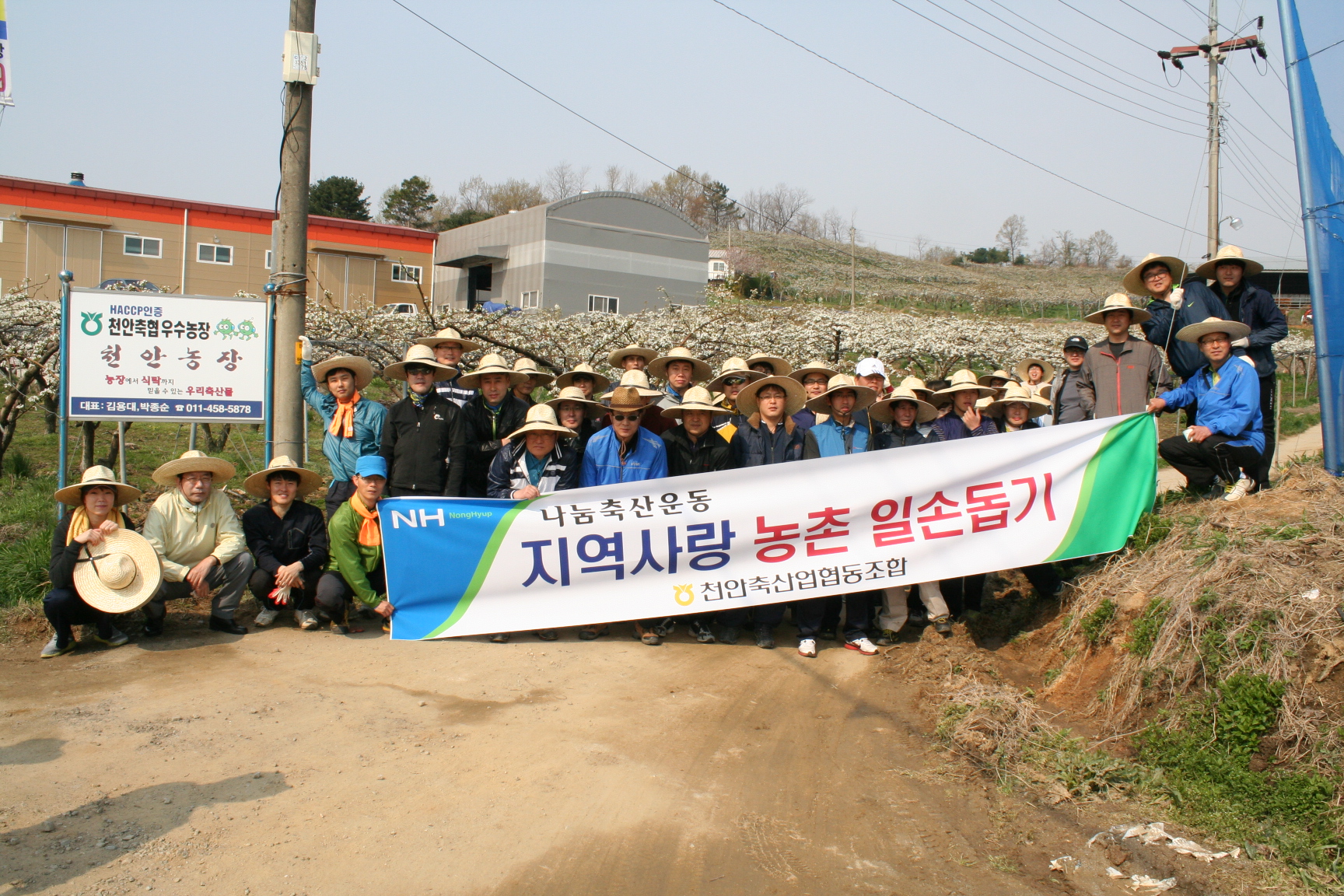 지난 4월 27일 나눔축산운동의 일환으로 임직원 100여명이 화접 일손돕기를 실시하였습니다.. 대표 이미지