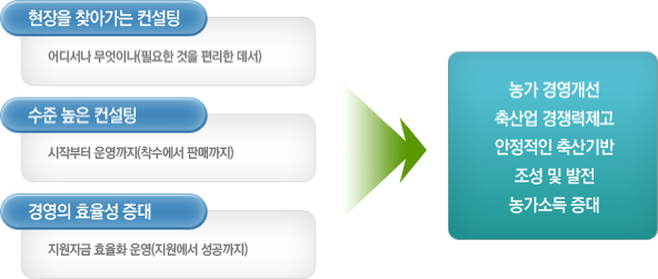 컨설팅