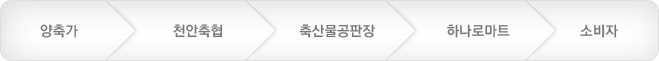 계통출하체계
